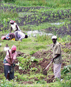 Wetlands will soon be demarcated. The New Times / File.