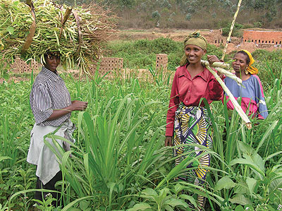 Women after attending to a garden. The New Times / File.