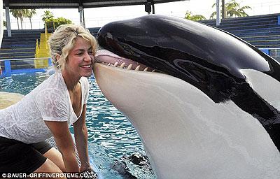shakira and Pique with the shark. Net photo