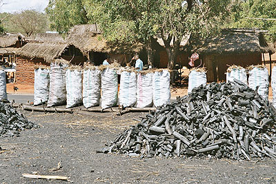 Roadside stacks of charcoal. It is the cheapest fuel source in the country. Net Photo.