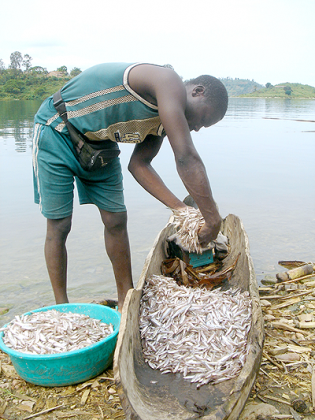Fishing on Lake Kivu has been put on hold for two months. The New Times / File.