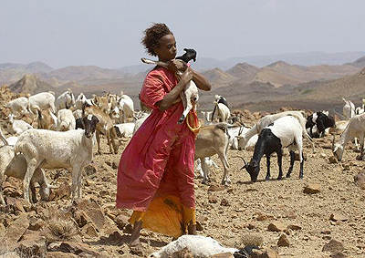  Itu2019s the dawn. The crickets back to their holes, the dew light; the smell of nature overpowering,