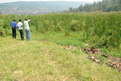 Men looking at the vast Nyabugogo swamp. The Sunday Times / John Mbanda.