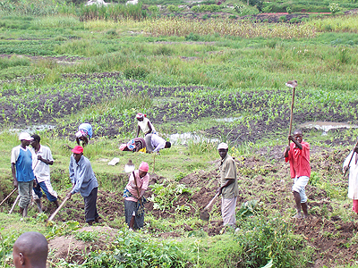 People cultivating in Nyanza.The Media High Council has called on the media fraternity to effectively contribute to education and awareness on land ownership. The New Times / File.