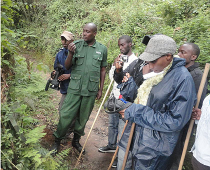 Louis Rugerinyange (L) leads a group of local journalists in Nyungwe park. The New Times / JP Bucyensenge.