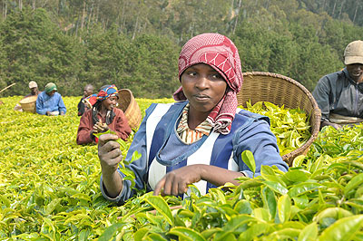 Agriculture was among the major areas of focus during EDPRS.