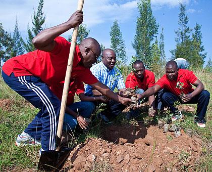 Serena Hotel staff planting trees during Umuganda. The Sunday Times / Timothy Kisambira.