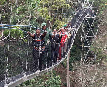 1-1 (flow) The Canopy Walk in Nyungwe National Park is one of the attractions. The New Times file