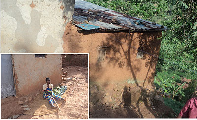 Kagunga houses have borne the brunt of the heavy rains (Inset: Mukamugema Drusilla sitting outside her home).