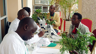 A demonstration of how plant clinics operate. The New Times / Courtesy.