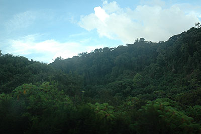 Nyungwe forest. Rwanda has a good environment conservation.  The New Times / File.