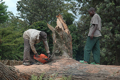 Land degradation costs Rwanda $70 million in annual losses. The New Times / File.