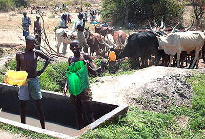 Herdsmen watering cattle in Nyagatare District. The New Times / File.