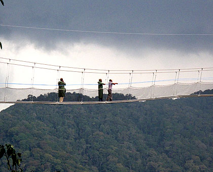 The canopy walk in Nyungwe National Park is one of the various tourist packages that Rwandans have not fully embraced. The New Times/ Timothy Kisambira.