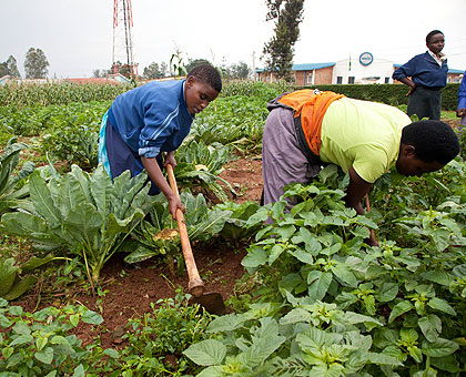 Jacquelline Uwizeyimana, a 20-year old visually impaired woman from Rulindo (L) tills the vegetable garden at Masaka School of the Blind together with her colleague  Judithe Nyiranshimiyimana,   25, from Bugesera. The school that started operating in 1994, offers a six-month certificate that among other disciplines, teaches  students how to read, write, farming. The New Times  / Timothy Kisambira