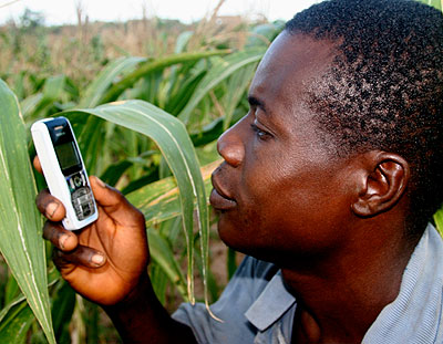 A farmers uses a mobile phone. Africau2019s rural population has not yet benefitted from the increase in telecom firms on the continent. The New Times /File.
