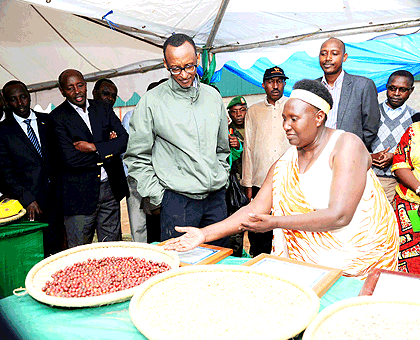 A Nyamagabe farmer shows President Kagame her produce during the Head of Stateu2019s tour yesterday. The New Times/ Village Urugwiro.