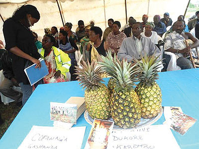 Ngoma farmers display pinneapples during a trade show. The New Times/S. Rwembeho.