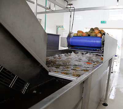 Pineapples being washed at Inyange. The residue water can be recycled and reused.  The New Times / T. Kisambira.