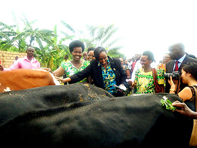 Kalibata (C) hands over the cows to relatives of the Genocide victims.  The New Times/ J. Mbanda.