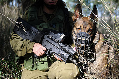 Almost six years after the Second Lebanon War, special Israeli units are preparing to take part in mass incursions into Lebanon if another round of fighting with Hezbollah breaks out. ....