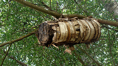 A traditional beehive hangs on tree branches. The New Times/ File.