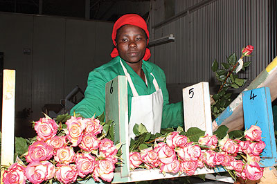 A worker arranges flowers at a show. The government is looking to non-traditional exports like flowers to boost export earning and reduce trade deficit. The New Times / File phote