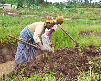 Agricultural production is expected to more than double in the new fiscal year.  The New Times/ File.