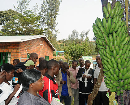 Farmers at the Agro expo take lectures on how to improve banana production. The New Times/ John Mbanda.