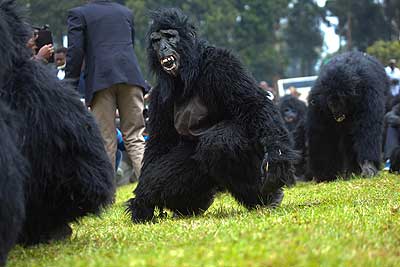  Some of the u2018gorillasu2019 that were named during the colourful function on Saturday. 