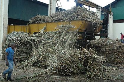 Good old days. Trucks deliver sugarcane at Kabuye Sugar. The firm is still suffering from effects of floods that hit early this year. The New Times / Timothy Kisambira