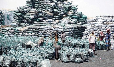 The UN estimates charcoal exports from Kismayo worth $15m to $16m a month. Net photo