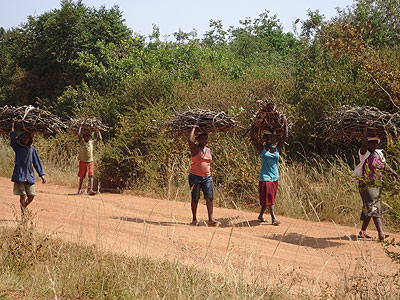 The national demand for dry wood is estimated at 4.2 million tonnes per year. The New Times/File