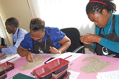 Workers sorting coffee beans. SMEs have been advised to consider private equity to ease financing problems they face today.  The New Times / File
