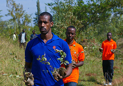 There is will among citizens to preserve natural resources  and improve forest cover in Rwanda according to experts. The New Times/File.