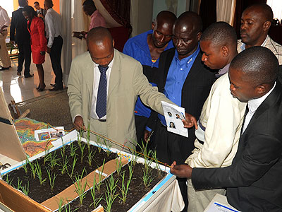 Participants being shown how rice farming is carried out. The New Times/John Mbanda.