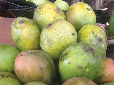 Mangoes went up by Rwf500 a kilo in Kigali Market. Onions cost Rwf700 from Rwf500a few days ago. The New Times/Su00e9raphine Habimana