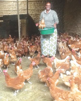 Uwamaliya attends to poultry at the farm in Gakenke. The New Times / Seraphine Habimana