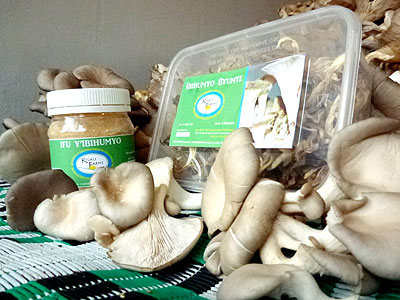 Some of the mushrooms grown at Kigali Farms that has been processed and is ready for human consumption. The New Times/ Moses Opobo