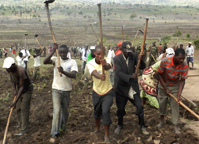 Farmers cultivate and plant maize in Bukora valley of Kirehe District on Saturday.   The New Times/ S. Rwembeho.