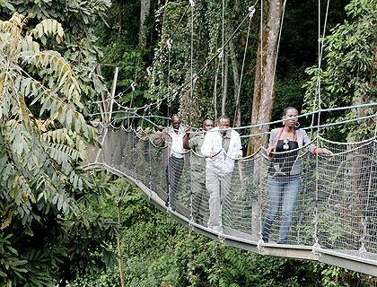 Tourists experience the thrills of canopy crossing in Nyungwe Forest National Park.The New Times/ File.