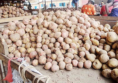 Irish potatoes on the stalls in a market. The prices of the staple foodstuff remain high across the country.   The New Times/ File.