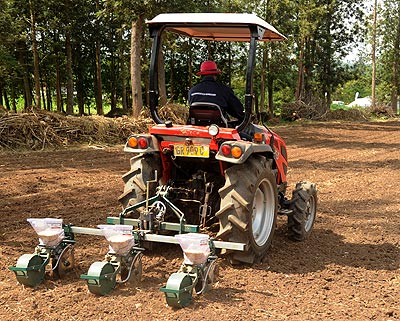 A farmer uses a tractor to plant maize seeds.  Experts at an ongoing forum say mechanisation will transform the agriculture sector.   The New Times/ File. 