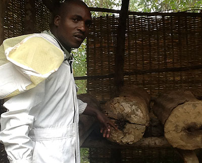 Mwizeramana shows this writer his apiary project. The 36-year-old has over 60 modern and traditional beehives. The New Times / Seraphine Habimana