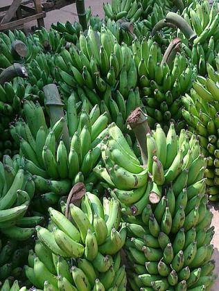Banana lovers will have to dig deeper into their pockets to afford a meal.  The New Times / File photo  