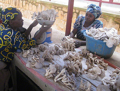 Women sell mushrooms in Nyaruguru District.    The New Times / File photo