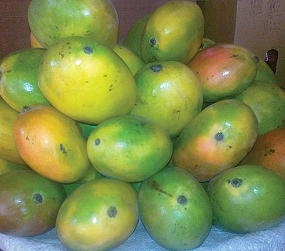 Rwanda produces far less mangoes compared to the prevailing huge market. The New Times / File photo