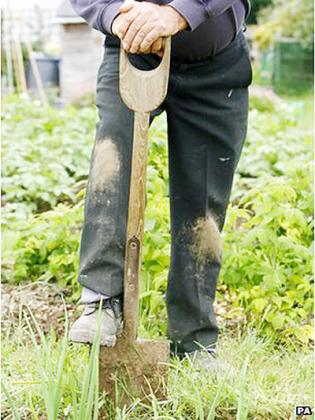 Gardening is good for your health, scientists say. Net photos.