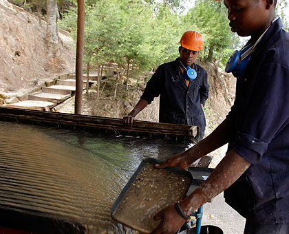 A miner separates coltan from stones at Mutobwe Mining Factory. The New Times/Timothy Kisambira