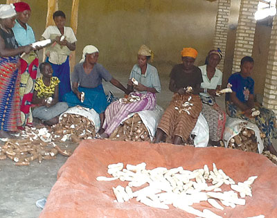 Kinazi women peel cassava in preparation for processing. The New Times / File